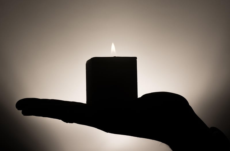 Mindfulness Workshops